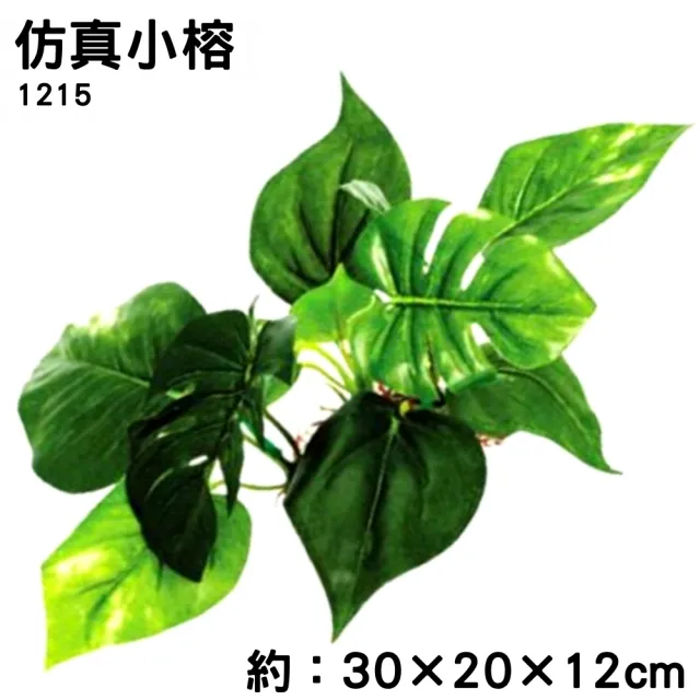 【水族 飾品 裝飾】仿真小榕 超逼真假水草 小榕 造景飾品/水草缸/仿真水草(假水草1215)