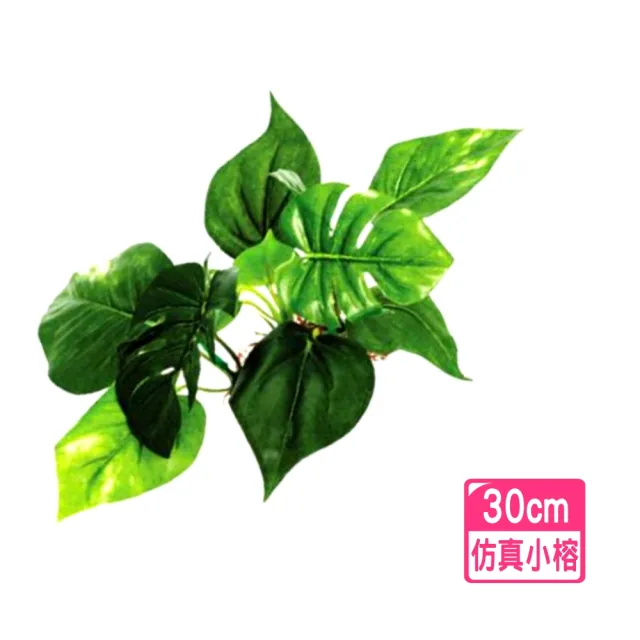 【水族 飾品 裝飾】仿真小榕 超逼真假水草 小榕 造景飾品/水草缸/仿真水草(假水草1215)