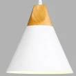 【大巨光】北歐風 1燈 吊燈-小(BM-51571)