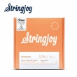 【Stringjoy】FW1254 鍍膜磷青銅 木吉他套弦 12-54(原廠公司貨 商品保固有保障)