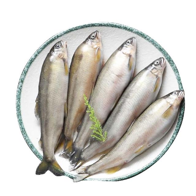 【佐佐鮮】爆卵母香魚3包組(每包5尾450g共15尾 居酒屋 中秋燒烤肉)