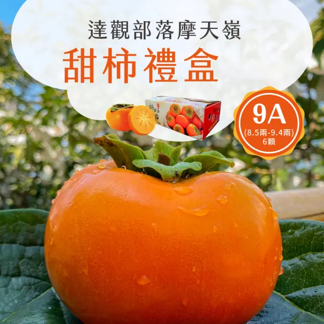 【初品果】達觀部落余大哥9A高山甜柿禮盒6顆x1盒(每顆315g±10%_年節禮盒_產地直送)
