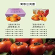 【初品果】達觀部落9A甜柿禮盒6顆x1盒(每顆350g+-10%_年節禮盒_產地直送)