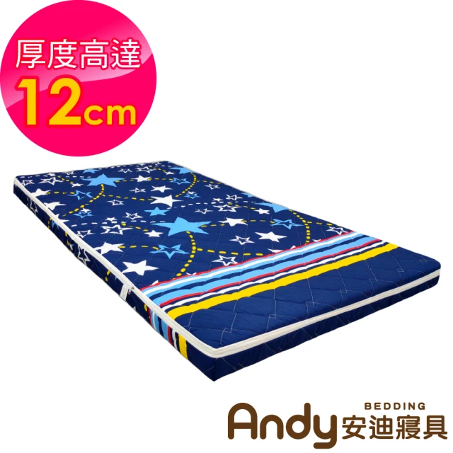 Andy Bedding 安迪寢具 就是厚胖胖床墊-單人3尺(床墊 硬式床墊 單人床 折疊床 加厚床墊 台灣製床墊)