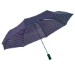 【rainstory】幻紫佳人抗UV雙人自動傘