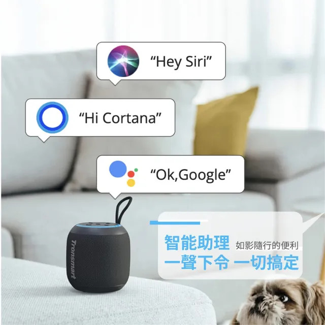 【Tronsmart】T7 mini 輕巧便攜式藍牙喇叭(經典配色 戶外無線喇叭)