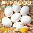 【禾鴻x鈞安牧場】專利配方鎂力機能蛋(白蛋8顆x3盒x6箱 共144顆)