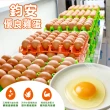 【禾鴻x鈞安牧場】專利配方鎂力機能蛋(紅殼蛋8顆x3盒x6箱 共144顆)