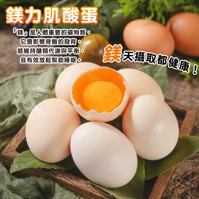 【禾鴻x鈞安牧場】專利配方鎂力機能蛋(土雞蛋8顆x3盒x3箱 共72顆)