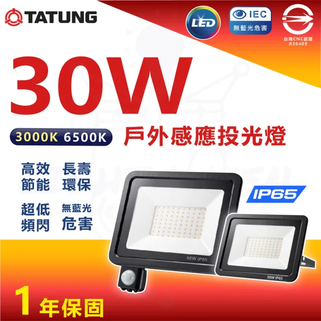 【TATUNG 大同】LED 紅外線 感應戶外投光燈 戶外投光燈 投射燈 30W(防水IP65)