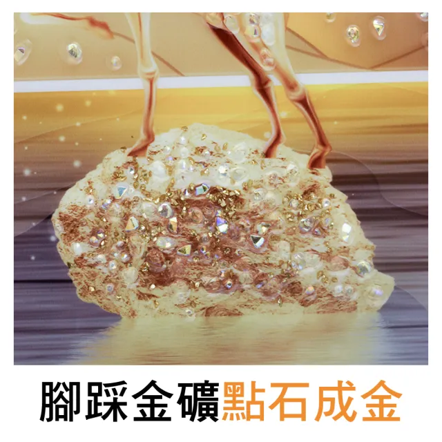 【命運好好玩】湯鎮瑋-點石成金財鹿晶鑽畫