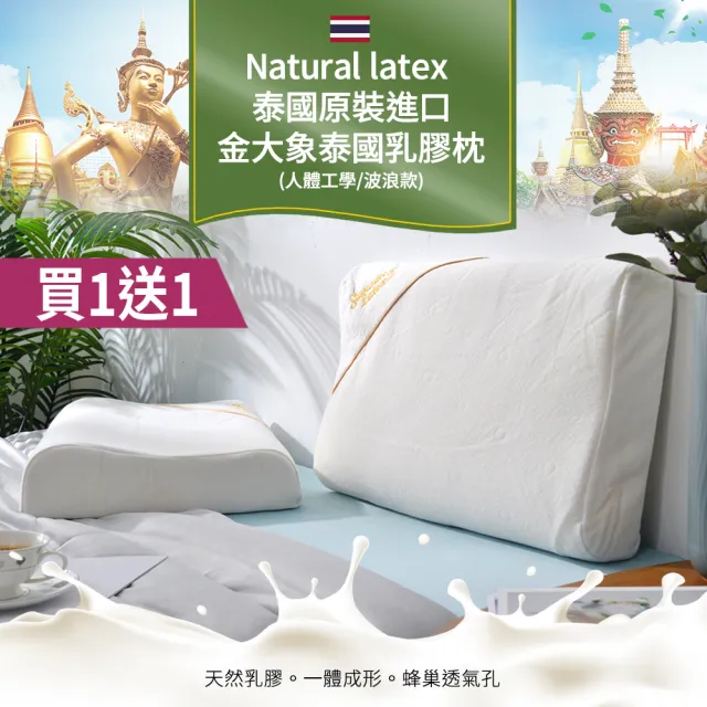【Natural latex】買1送1 泰國原裝進口金大象泰國乳膠枕(人體工學枕/乳膠枕/釋壓枕/枕頭)