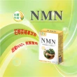 【辰鑫生技】高純度NMN3盒入共90顆(NMN;專利蠶絲蛋白;Q10;賽洛美)