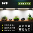 【ONF 光之間】MIST O 植霧光 隨吸植物燈(五件優惠組、霧面黑)