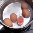 【Premier】水煮蛋計時器(廚房計時器)