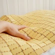 【絲薇諾】天然專利麻將枕墊/1入(40×60cm)