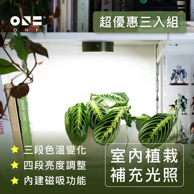 【ONF 光之間】MIST O 植霧光 隨吸植物燈(三件優惠組、綠)