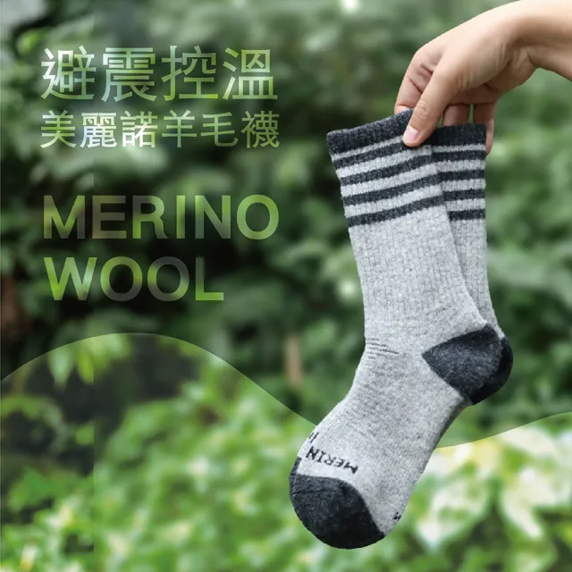 【AREXSPORT】美麗諾羊毛襪 毛巾襪 雪地襪 保暖襪 厚底避震控溫 百岳山友推薦 羊毛100％ 台灣製 AS-6325