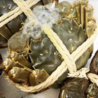 【RealShop】正宗活體江蘇公蟹紅膏大閘蟹 A級 6隻入(每隻約5-5.6兩 不含繩重 死蟹包換 真食材本舖)