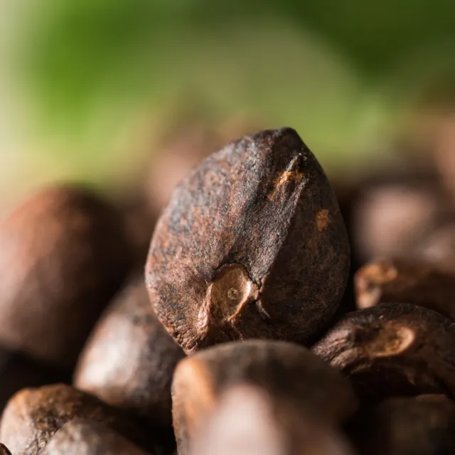 【冬化技研】嘉義大學技轉 冷壓小果籽 冬化技研苦茶油400ml(苦茶油)