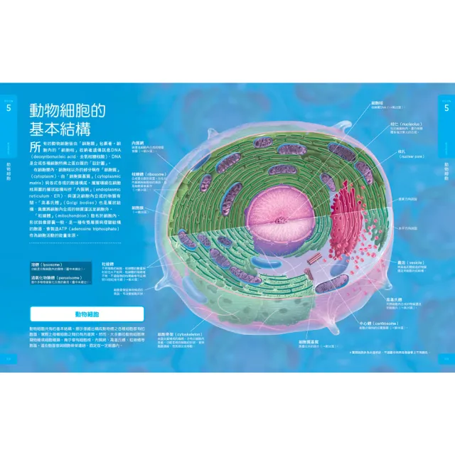 【momo組合套書-Galileo科學大圖鑑】生物＋細胞大圖鑑