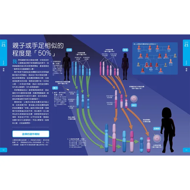 【momo組合套書-Galileo科學大圖鑑】人體＋肌肉大圖鑑