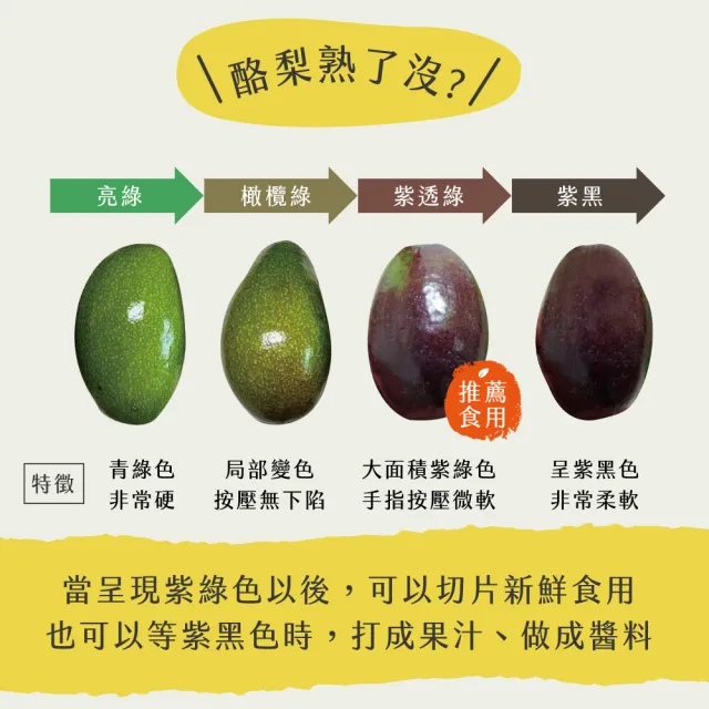 【初品果】屏東高樹鮮採酪梨5斤4-7顆x1盒(幸福牛油果_草生栽培)