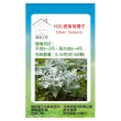 【蔬菜工坊】H20.銀葉菊種子(銀色、高15-25cm)