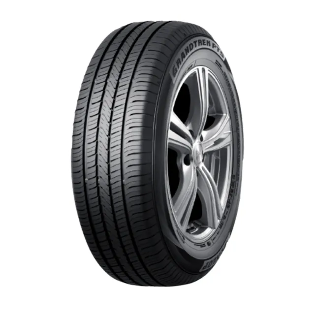 【DUNLOP 登祿普】輪胎 登祿普 PT5-2256517吋_四入組_225/65/17(車麗屋)