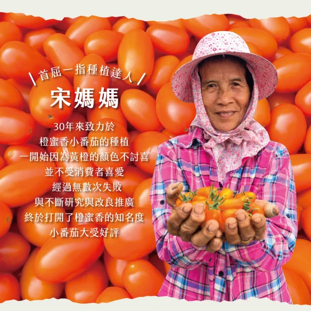 初品果 宋媽媽橙蜜香小番茄淨重5斤x2盒(淨重5斤_產銷履歷