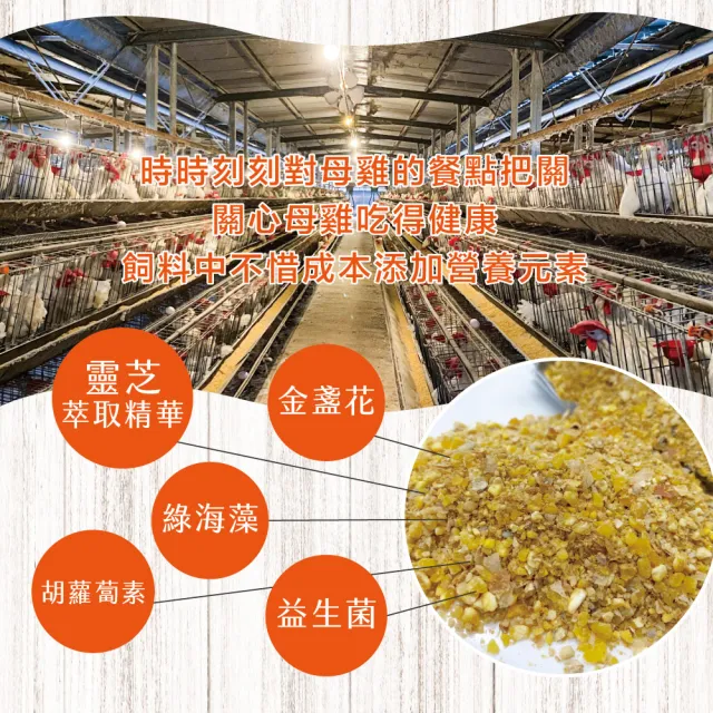 【初品果】x富立牧場靈芝機能雞蛋60顆x1箱(白蛋_48小時內新鮮生產_無驗出普芬尼、戴奧辛)