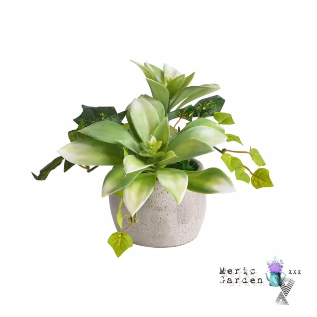 【Meric Garden】高仿真多肉植物療癒手工水泥小盆栽_2款一組(白佛甲+石蓮)