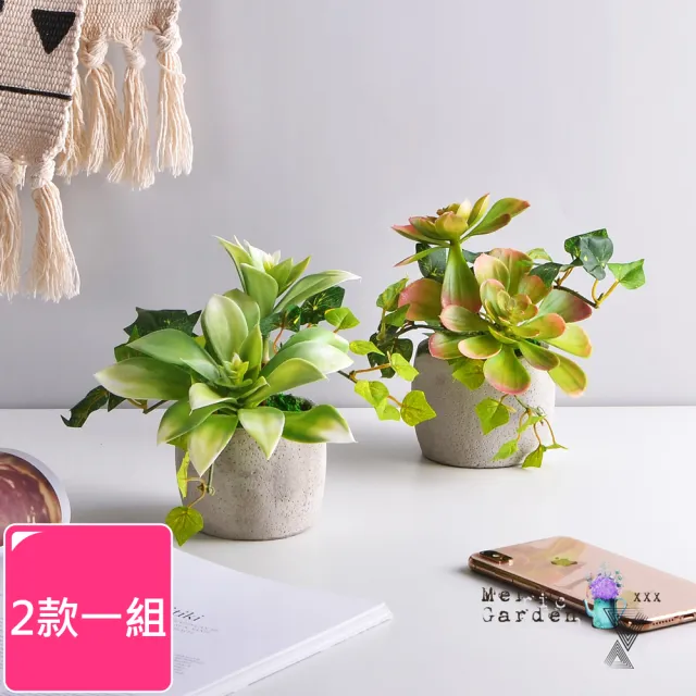 【Meric Garden】高仿真多肉植物療癒手工水泥小盆栽_2款一組(白佛甲+石蓮)