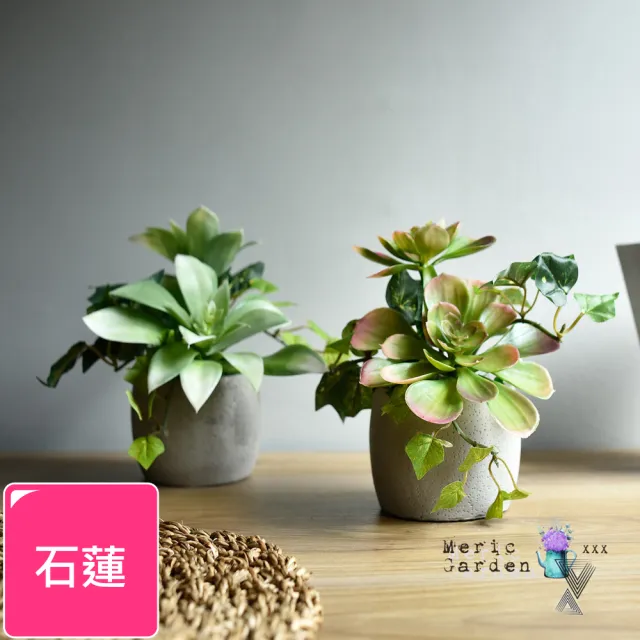 【Meric Garden】高仿真多肉植物療癒手工水泥小盆栽_石蓮