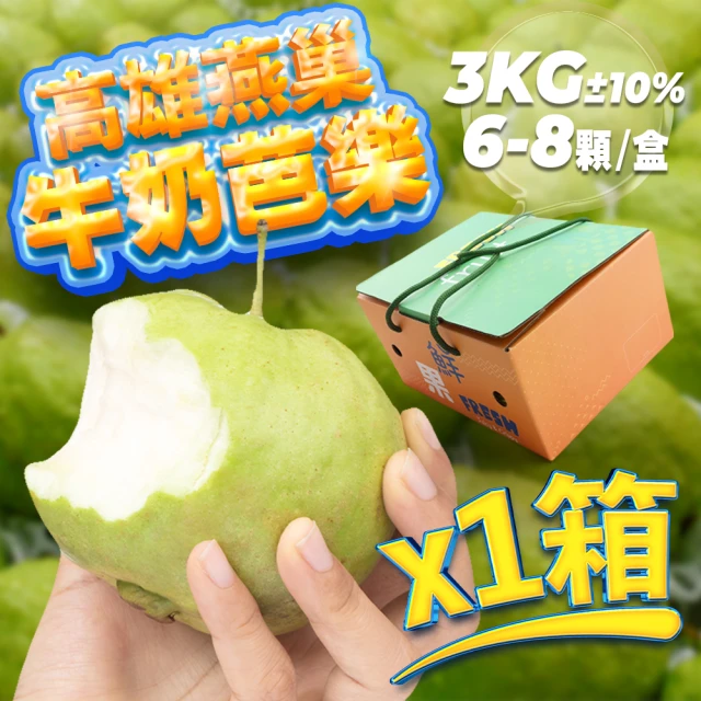 【果樹寶石】高雄燕巢牛奶大顆芭樂5斤x1盒（6-8顆/盒）（約400克以上/顆）(產銷履歷 農場直送)