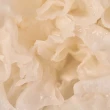 【韓國KAINE】Collagen純素膠原蛋白乳霜50ml(50%銀耳萃取+5ppm純素膠原蛋白+2%菸鹼醯胺)