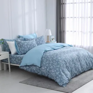 【HongYew 鴻宇】300織美國棉 薄被套床包組-汀絲娜(雙人)