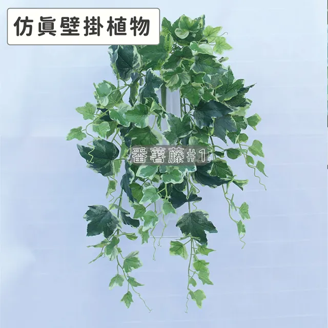 【Gardeners】仿真壁掛植物