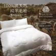 【Aaron 艾倫生活家】台灣製 100%純淨羊毛被(雙人6*7尺)