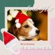 可愛貓狗寵物聖誕帽(狗狗 貓咪 服飾 儀式感 聖誕節 紅色 衣服 禮物)