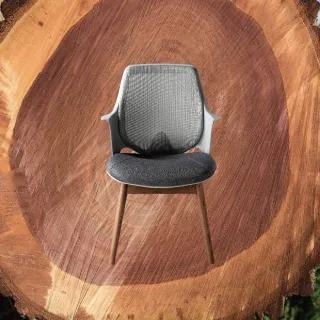 【舒樂活 4Health】CO Chair胡桃木色梣木腳 — 協作空間辦公椅(休閒椅 單椅 腰靠 健康 人體工學 居家)