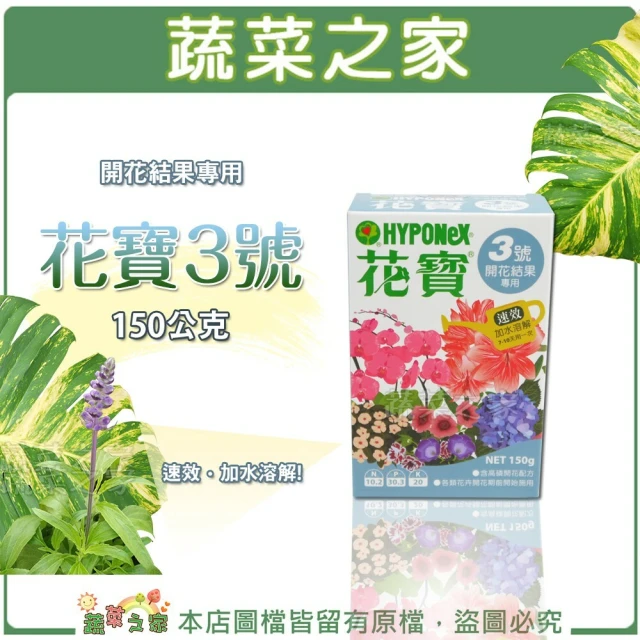 翠筠用品 易施肥蘭科植物用12入(液體速效蘭科肥料) 推薦