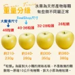【RealShop】日本青森toki土歧水蜜桃蘋果10kg±10％x1箱(36-40顆 原箱出貨秋季限定水果 真食材本舖)