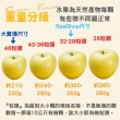 【RealShop】日本青森toki土歧水蜜桃蘋果10kg±10%x1箱(28-32顆 原箱出貨 真食材本舖)