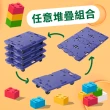 【NANSIN南星】總代理公司貨-超值組手推車+平台車(推車/折疊推車/摺疊手推車/折疊手推車/摺疊推車/烏龜車)