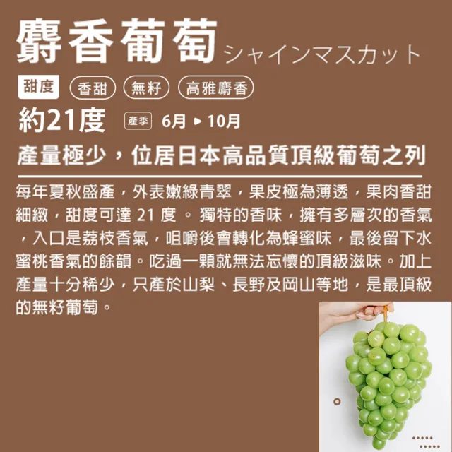 【RealShop】日本超大串空運麝香葡萄1.5kg±10%x1盒(2房裝 水果禮盒 中秋送禮)