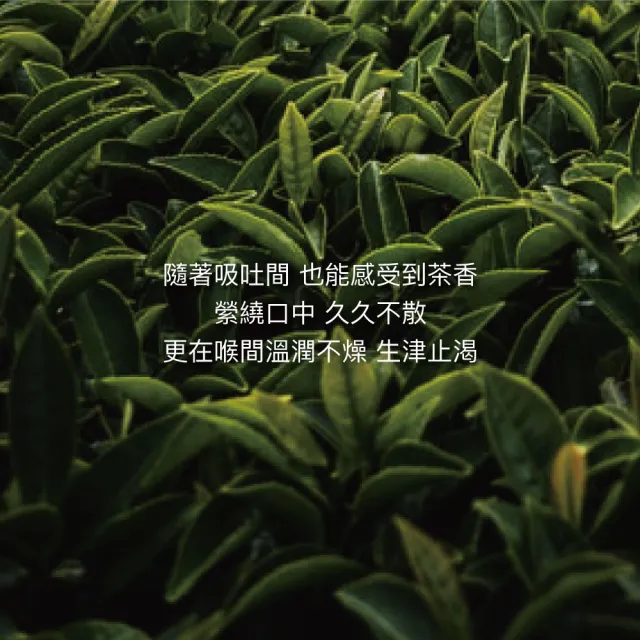 【High Tea 伂橙】駿躍龍騰-蜜炆龍涎茶4gx8入x1盒(台灣高山烏龍茶、無糖茶、100%無添加、環保茶包)