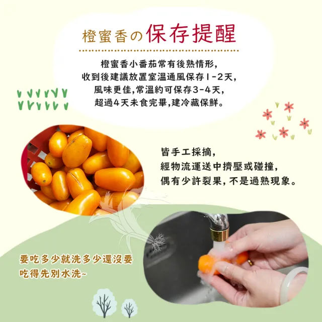 【禾鴻】橙蜜香小番茄禮盒5斤x3盒(不帶蒂頭出貨)