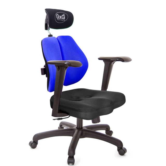 GXG 吉加吉 兩軸枕 鋁腳/4D弧面摺疊扶手 雙背美臀椅(