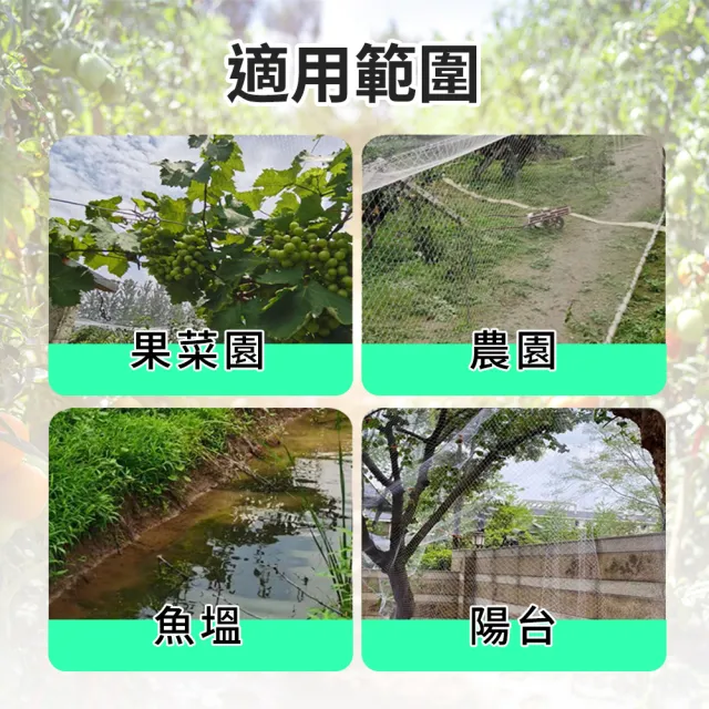 【SMILE】護欄網 植物爬藤網 3米寬40米長 防鳥網 防鳥罩 4-PB223MX40M(水鴨網 塑膠網子 萬用圍網)